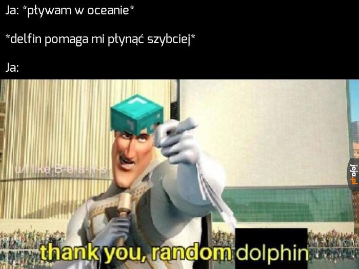 Dobry ziomek delfin