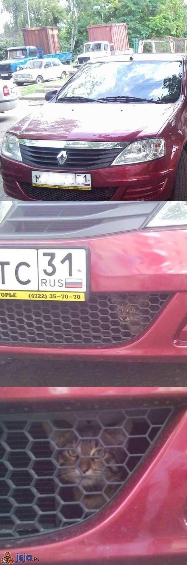 Rosyjski kot mechaniczny
