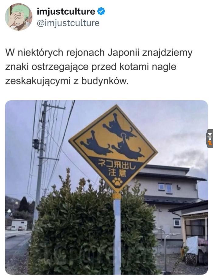 Każdy znak ma swoją historię