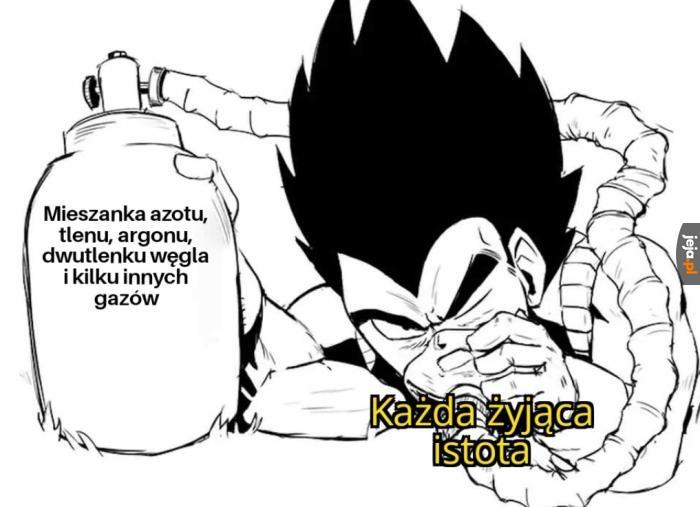 Rehabilitacja tego szablonu z mojej strony