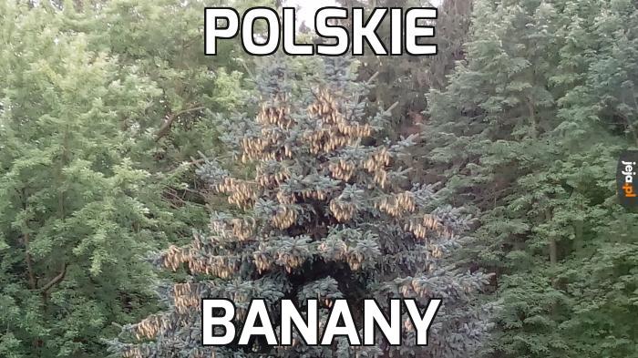 Przepyszne!