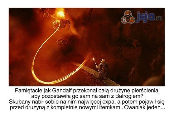 Cwaniak Gandalf