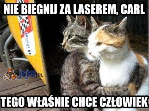 One wiedzą...