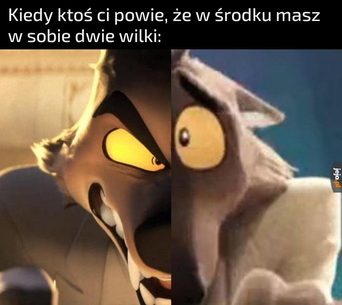 Moje wyglądają pewnie tak