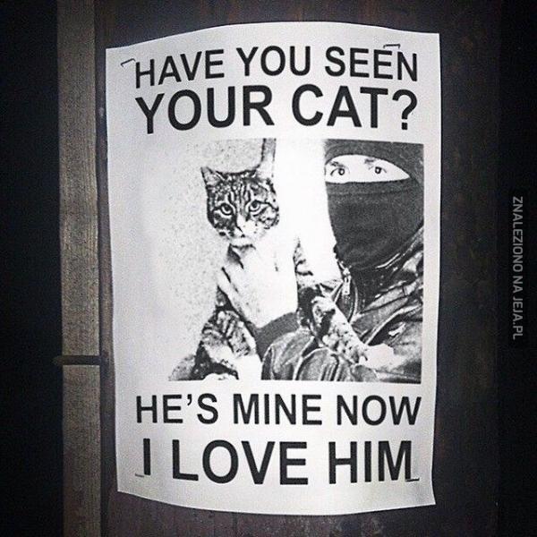 Widziałeś tego kota?