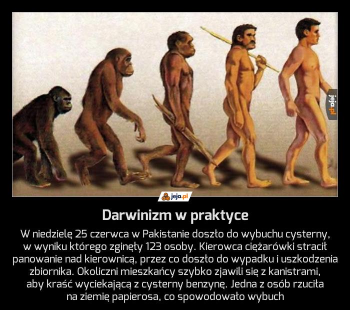 Darwinizm w praktyce
