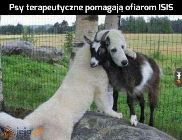 Terapia dla kozy
