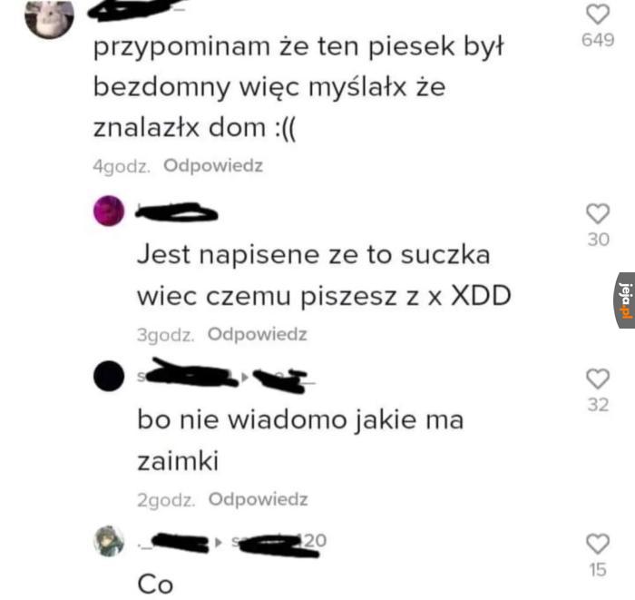 A Twój psiak jakie ma zaimki?