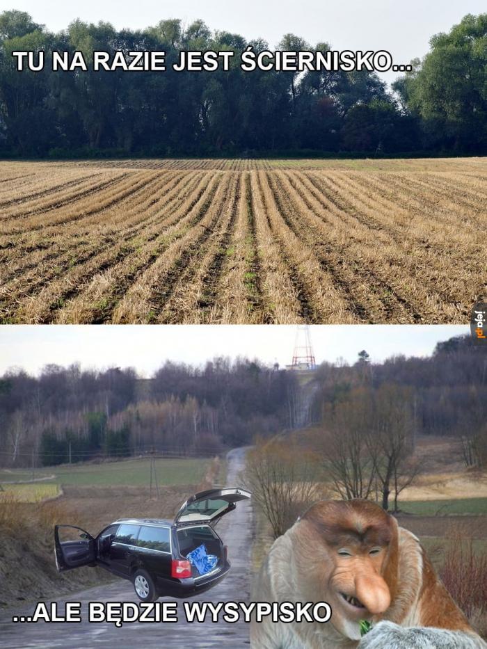 Już Janusz się o to postara