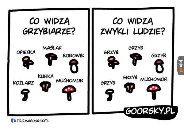Czy jesteś grzybiarzem?