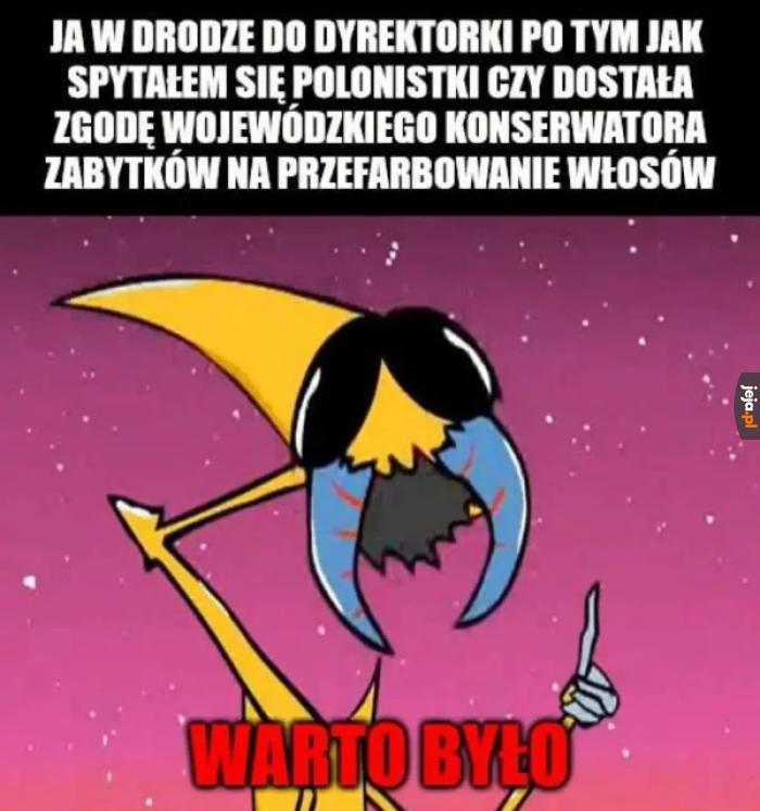 Opłacało się