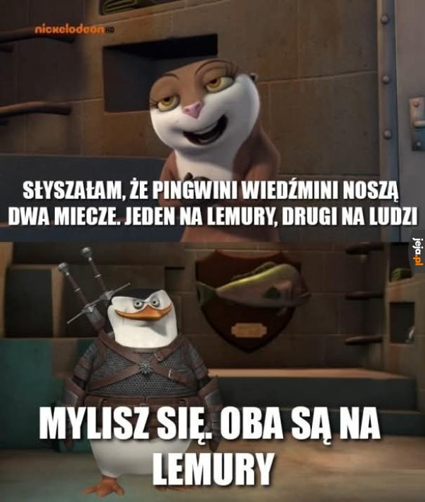 Lemur... nigdy się nie zmienia