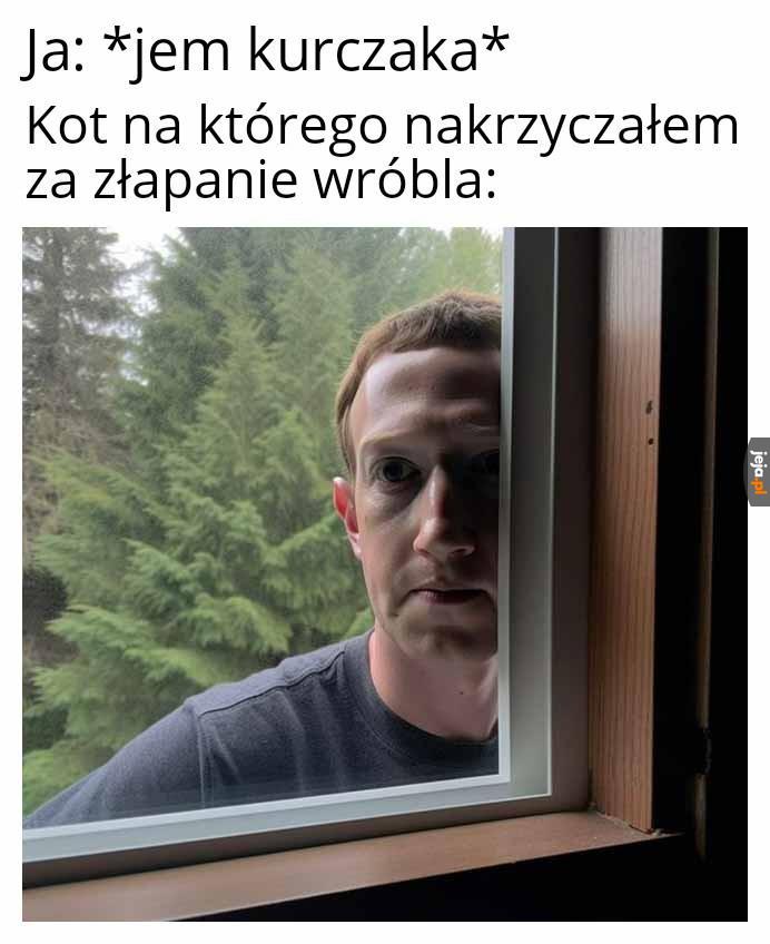 Podwójne standardy