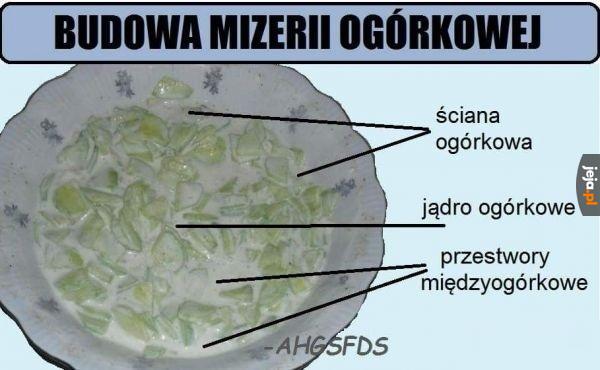 Powtórka na biologię