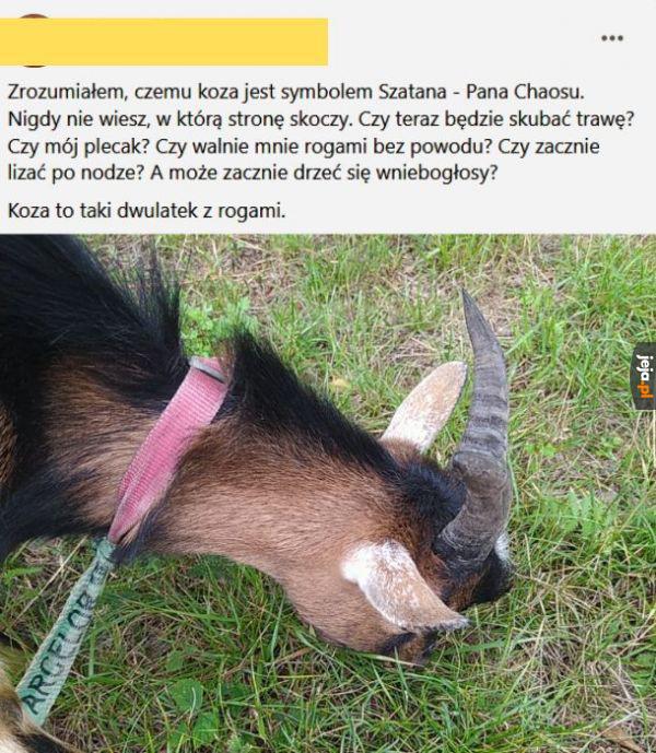 Szatańskie kozy