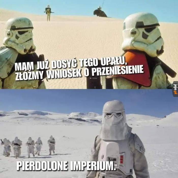 Znów robić na tych złodziei
