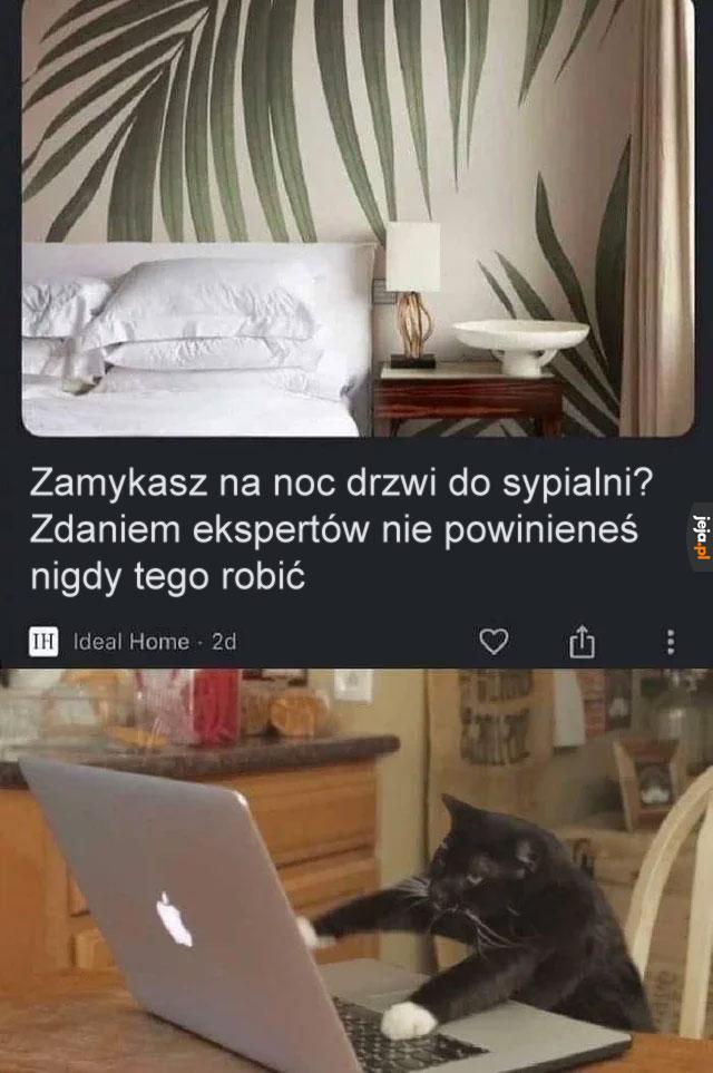 Niezła próba
