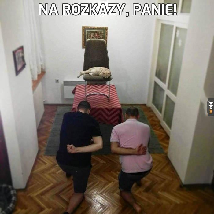 Na rozkazy, panie!