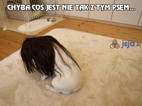 Chyba coś jest nie tak z tym psem...