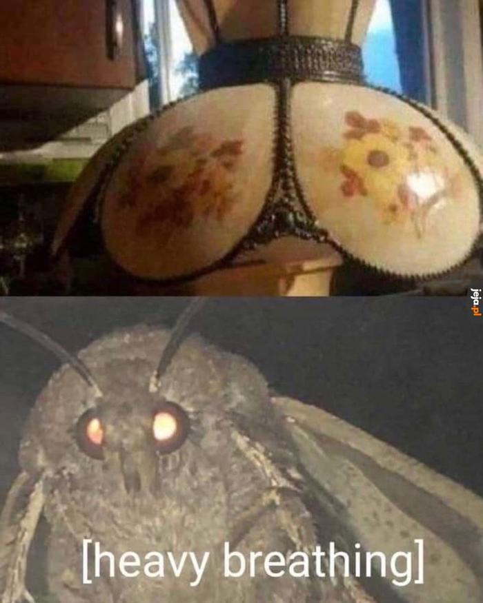 Tęsknicie czasem za memami z ćmami?