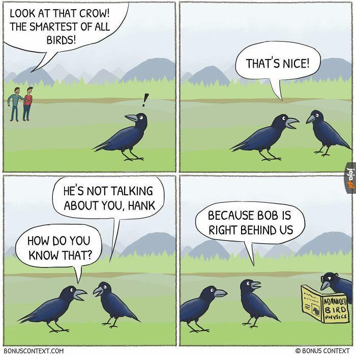 Kruki to bardzo mądre ptaki