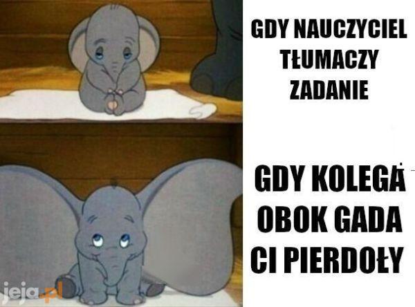 Kolega ciekawszy