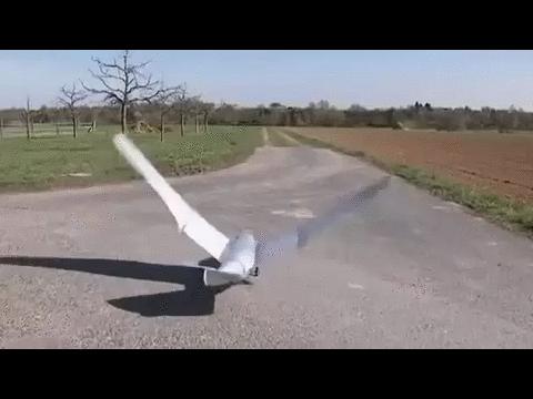 Mechaniczny ptak