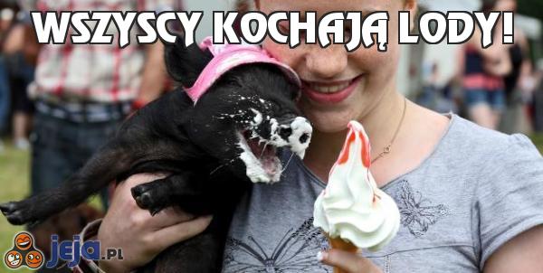 Wszyscy kochają lody!