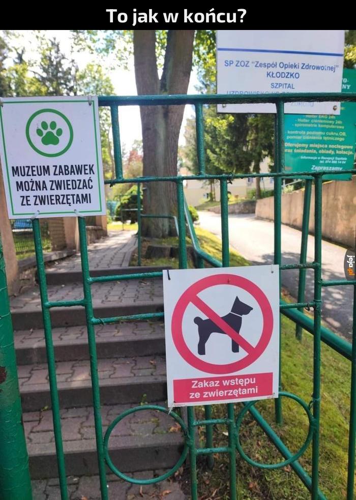 Jeden rabin powie tak, drugi powie nie