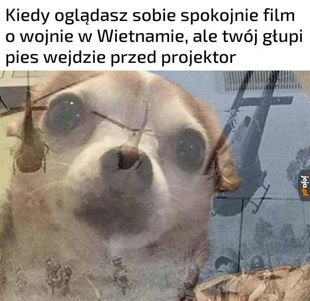 Wygląda jakby miał jakieś flashbacki