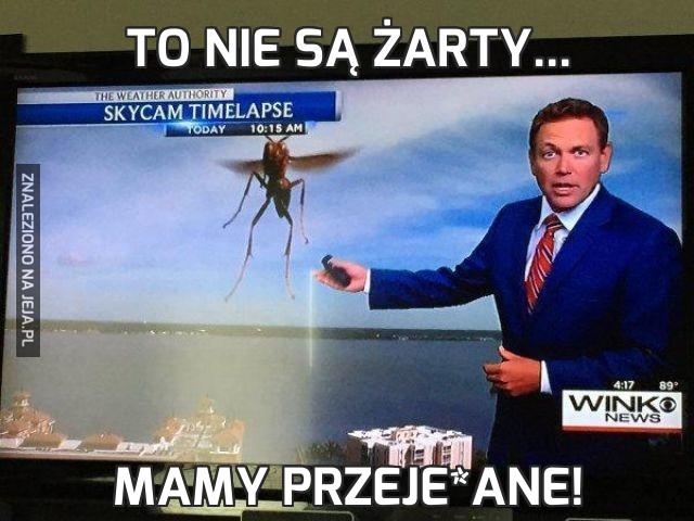 To nie są żarty...