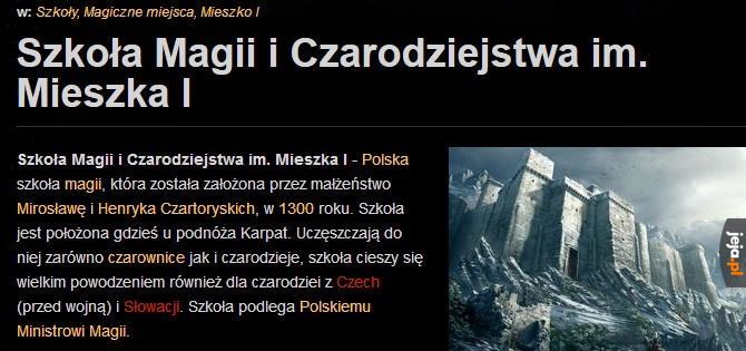 Czego ci Polacy nie wymyślą...