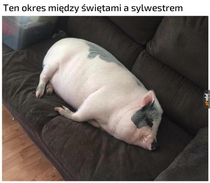 Lubię go