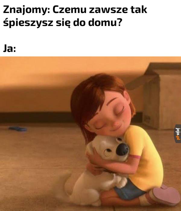 Dlatego: