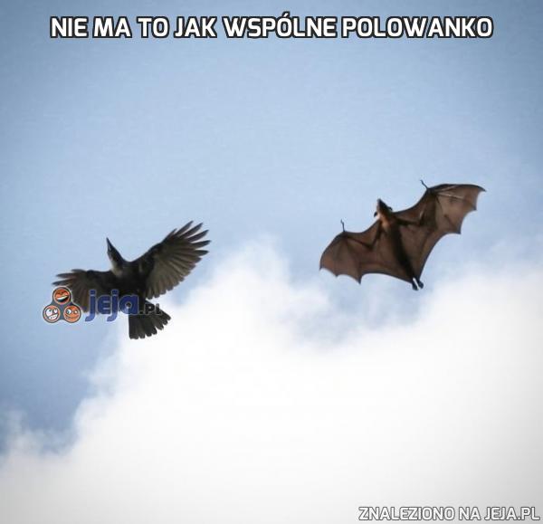 Nie ma to jak wspólne polowanko