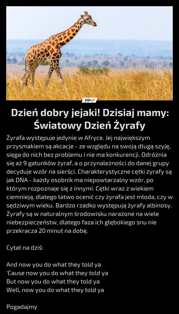 Dzień dobry jejaki! Dzisiaj mamy: Światowy Dzień Żyrafy