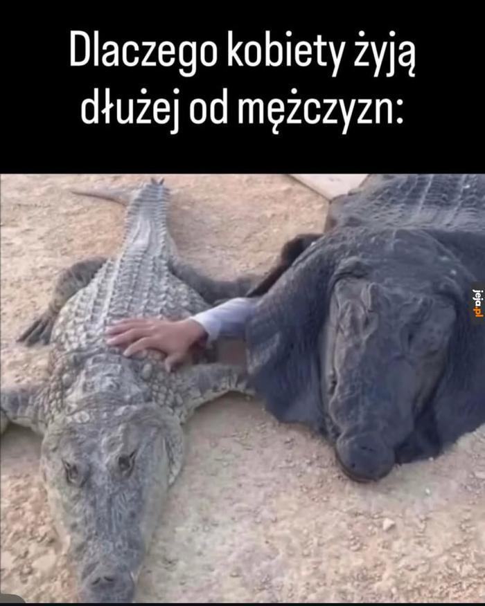 Obrazowy przykład