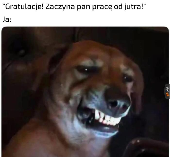 Hura, czy coś