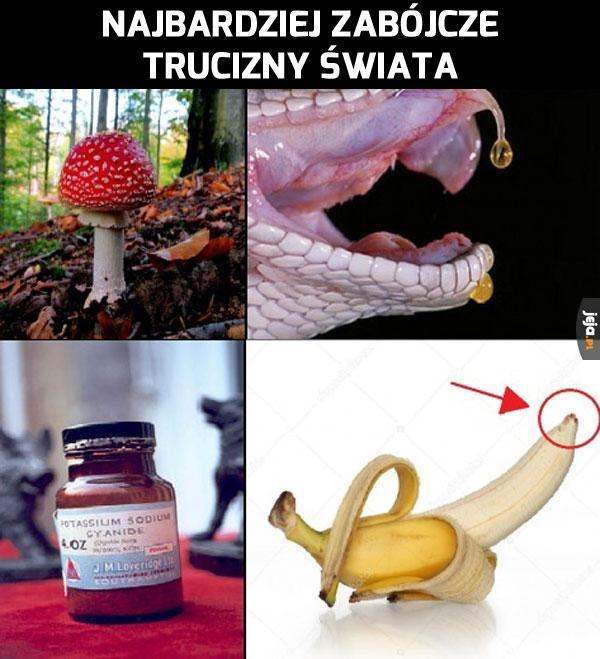 Uważaj na te zabójcze substancje