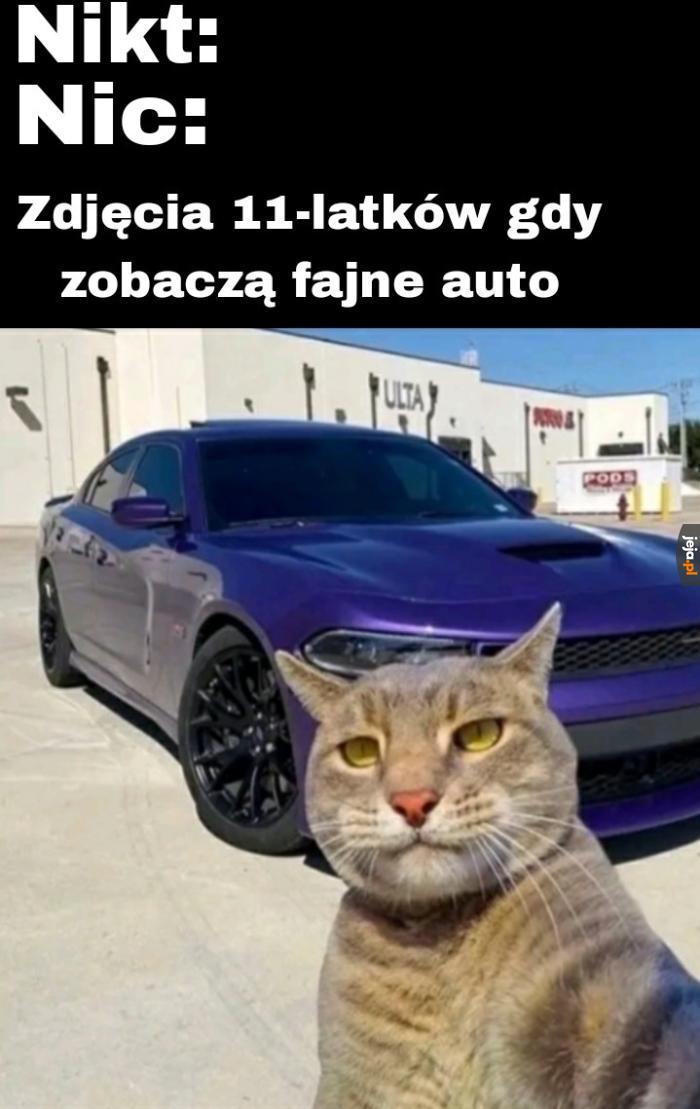 To moja fura