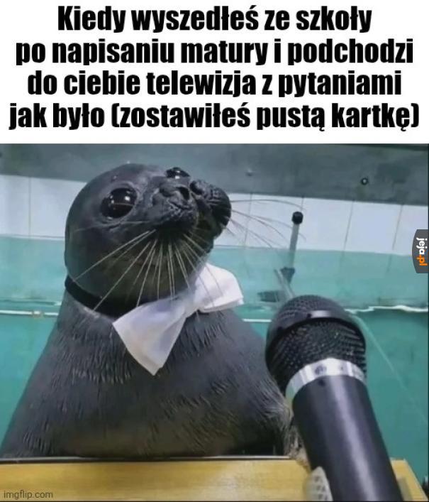 Chyba dobrze mi poszło