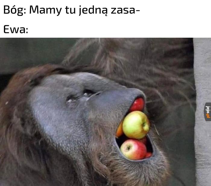 Won mi z raju