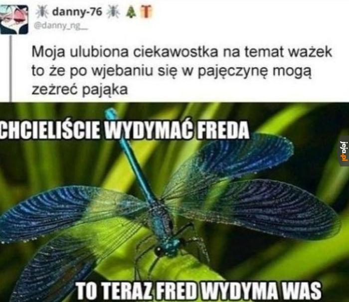Wezwij karetkę... ale nie dla mnie!