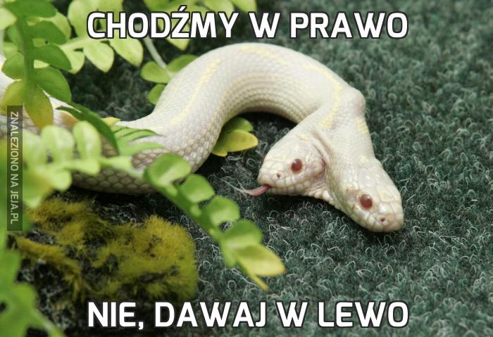 Chodźmy w prawo