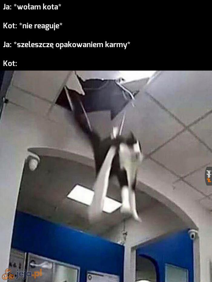 Pojawia się znikąd