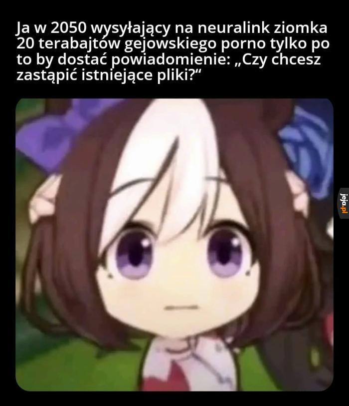 Masz mi coś do powiedzenia, kolego?