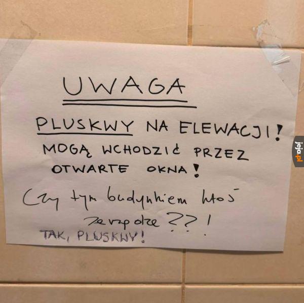 Zarząd budynku