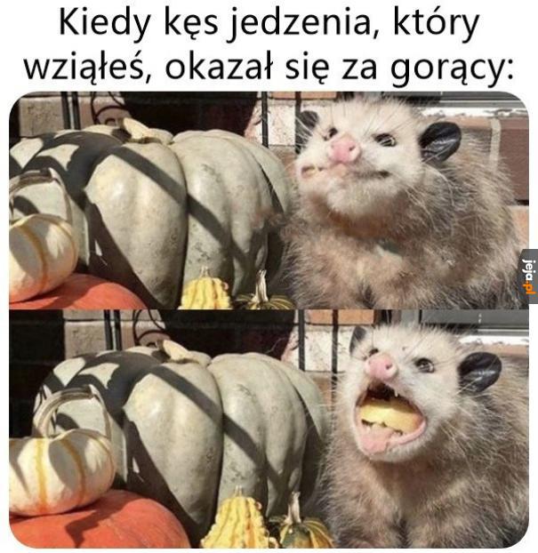 Wypad z gęby