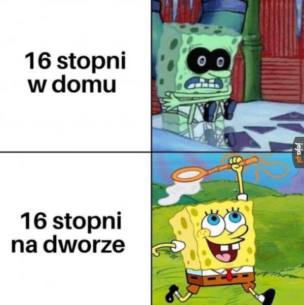 Czemu
