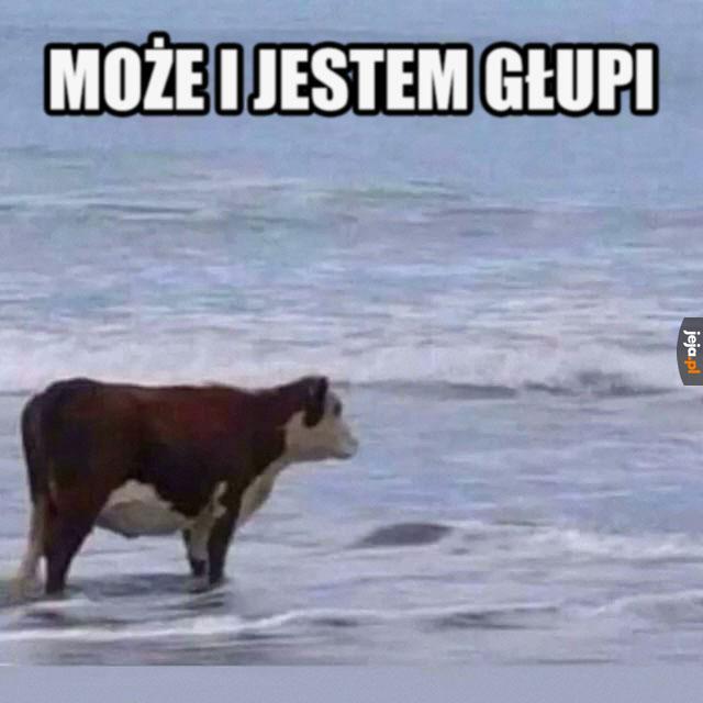 Tym razem odpuszczę sobie ale